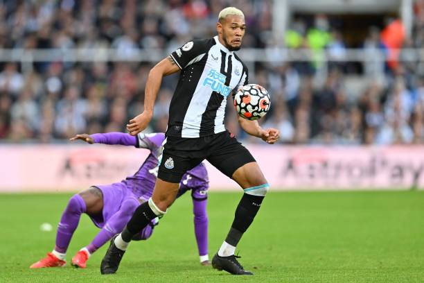 己是球队不 己是球队不