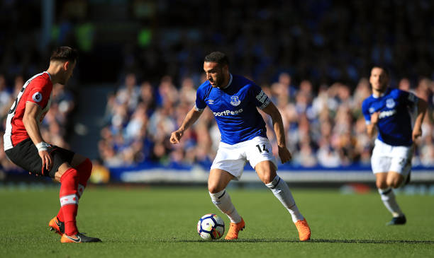 莫顿在欧青 莫顿在欧青